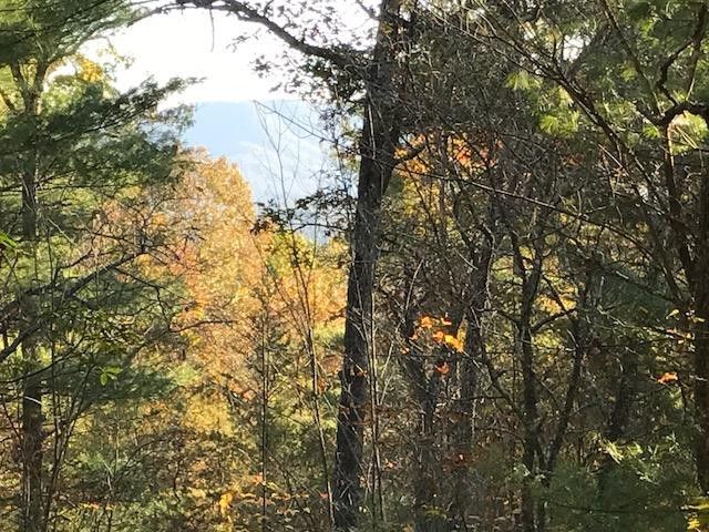 19d&E Braves Landing, Murphy, NC 28906