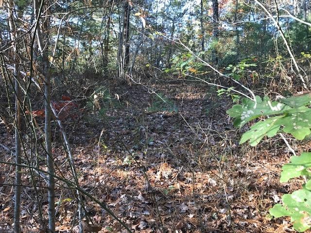 19d&E Braves Landing, Murphy, NC 28906