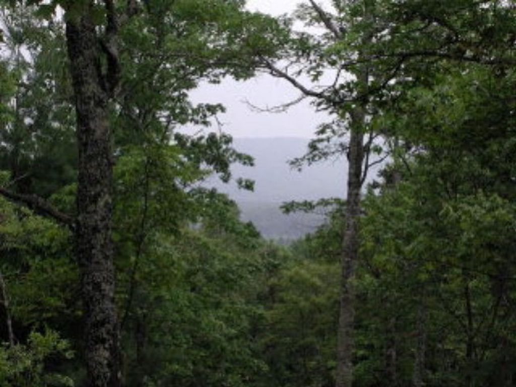 19d&E Braves Landing, Murphy, NC 28906