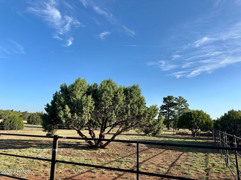 Image 52 of property listing at 1898 Rocky Lane, Show Low, AZ 85901
