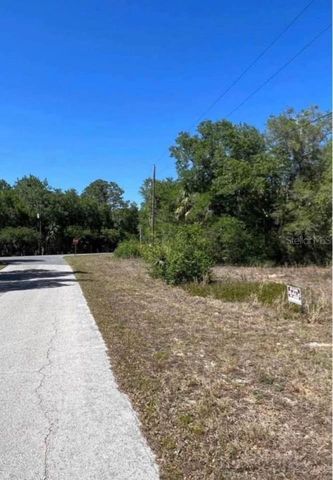 12405 N GOLDIE POINT, Dunnellon, FL 34433