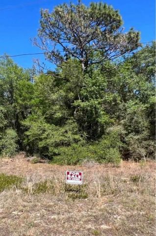 12405 N GOLDIE POINT, Dunnellon, FL 34433