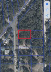 12405 N GOLDIE POINT, Dunnellon, FL 34433