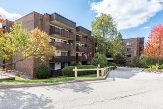 650 Whitney Court 203, Gurnee, IL 60031