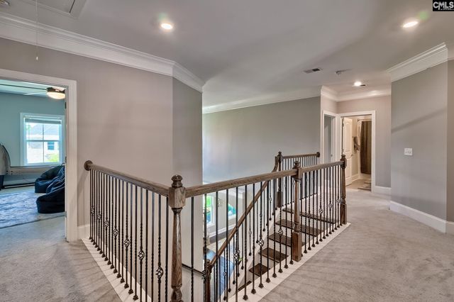 1214 Danvers Lane, Chapin, SC 29036
