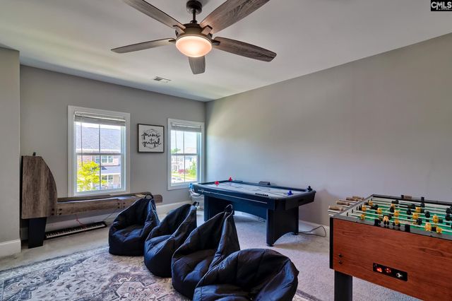1214 Danvers Lane, Chapin, SC 29036