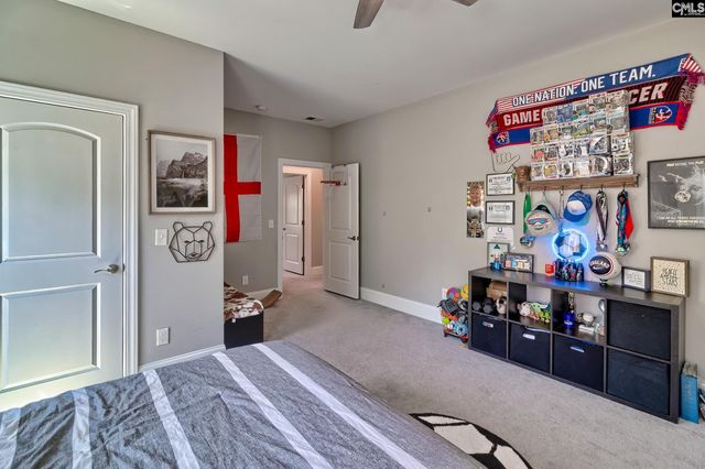 1214 Danvers Lane, Chapin, SC 29036