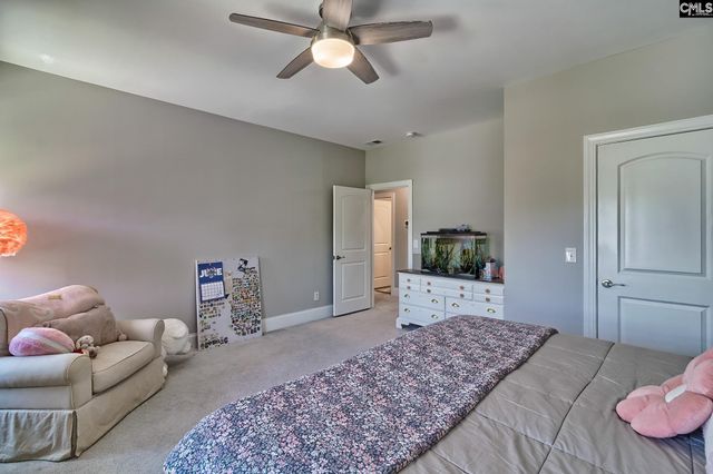 1214 Danvers Lane, Chapin, SC 29036
