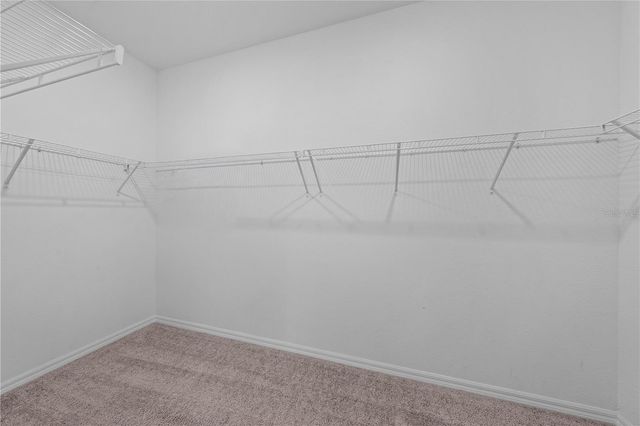 920 LIVESTOCK LOOP, St Cloud, FL 34771