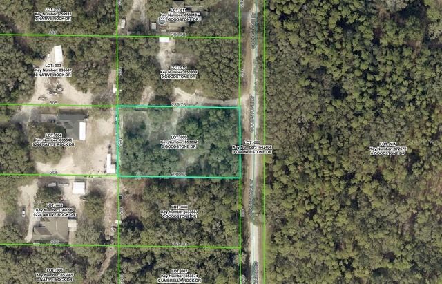 9299 GOODSTONE DRIVE, Webster, FL 33597