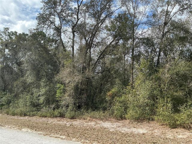 9299 GOODSTONE DRIVE, Webster, FL 33597