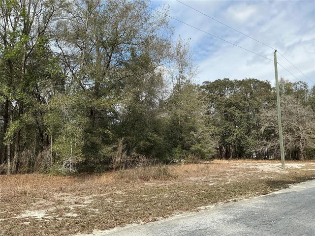 9299 GOODSTONE DRIVE, Webster, FL 33597