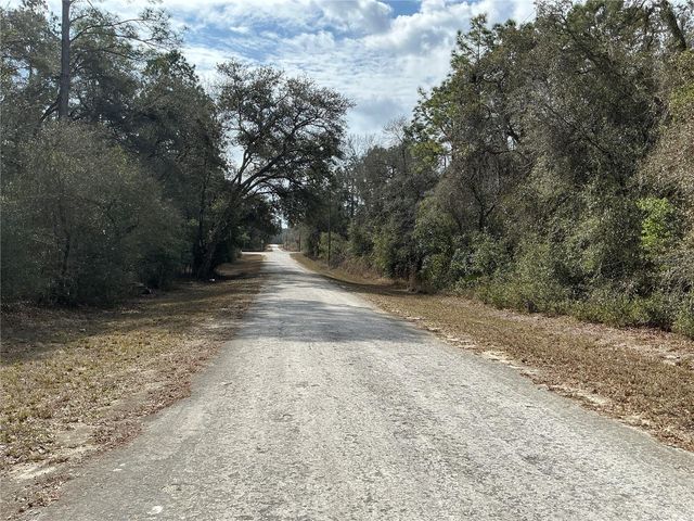 9299 GOODSTONE DRIVE, Webster, FL 33597