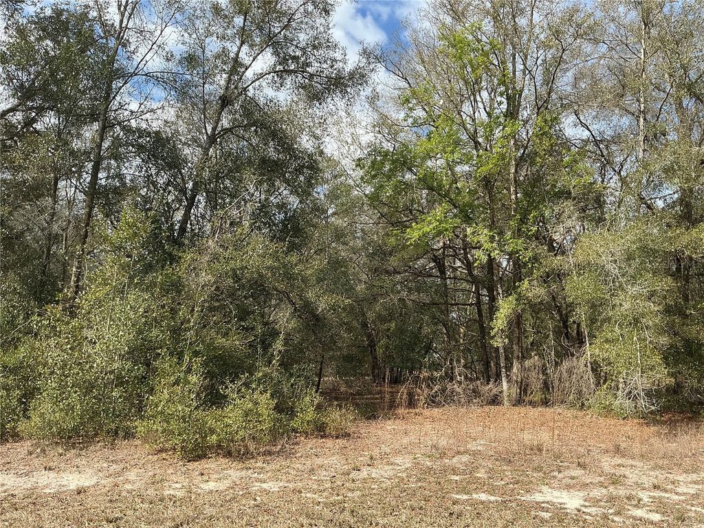 9299 GOODSTONE DRIVE, Webster, FL 33597