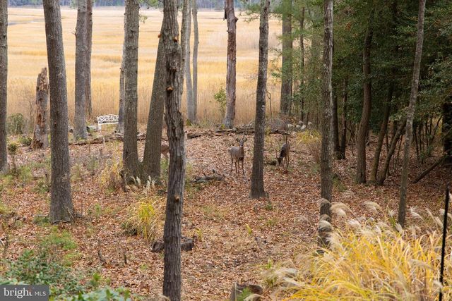 16939 KETCH CT, Lewes, DE 19958