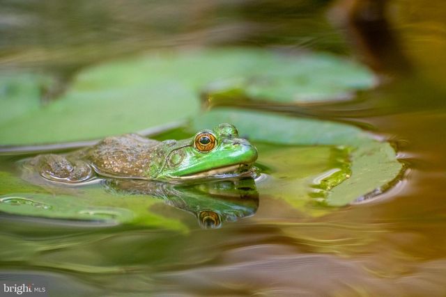 16939 KETCH CT, Lewes, DE 19958