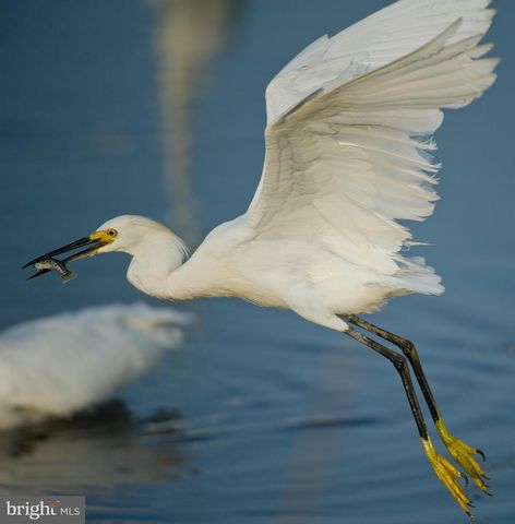 16939 KETCH CT, Lewes, DE 19958