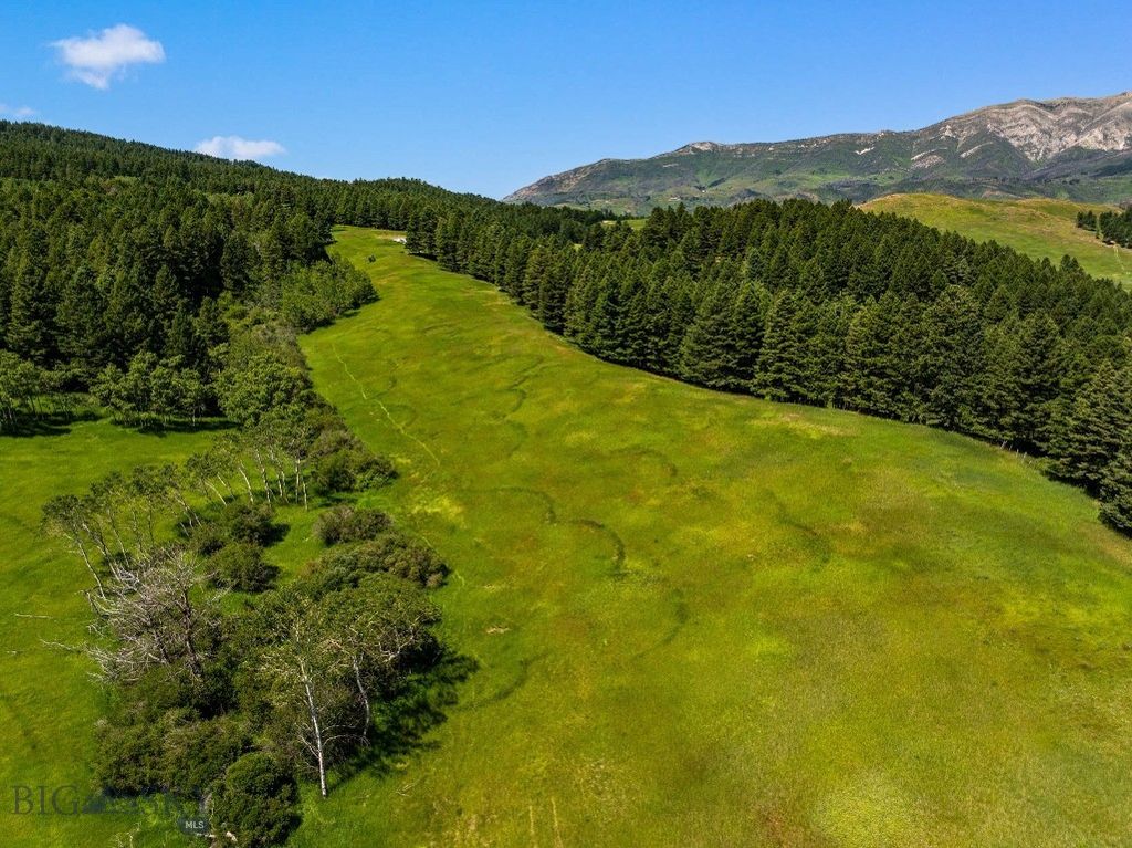 TBD Jackson Creek Road Parcel B, Bozeman, MT 59715 photo 15