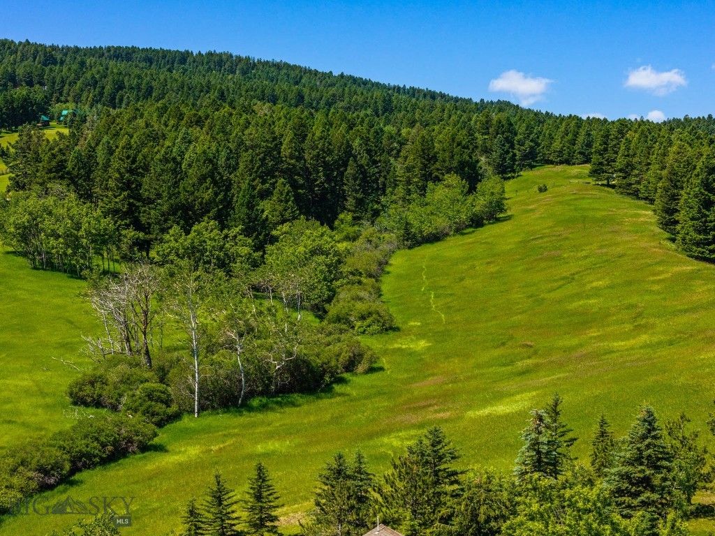 TBD Jackson Creek Road Parcel B, Bozeman, MT 59715 photo 16
