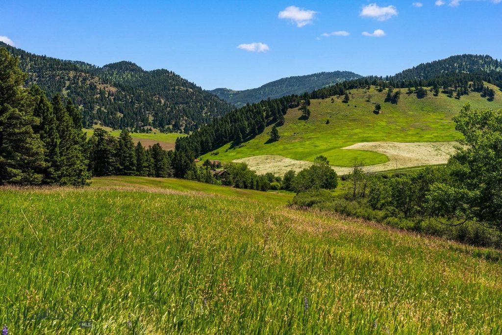 TBD Jackson Creek Road Parcel B, Bozeman, MT 59715 photo 23