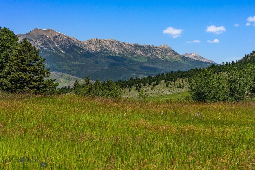 TBD Jackson Creek Road Parcel B, Bozeman, MT 59715 photo 30