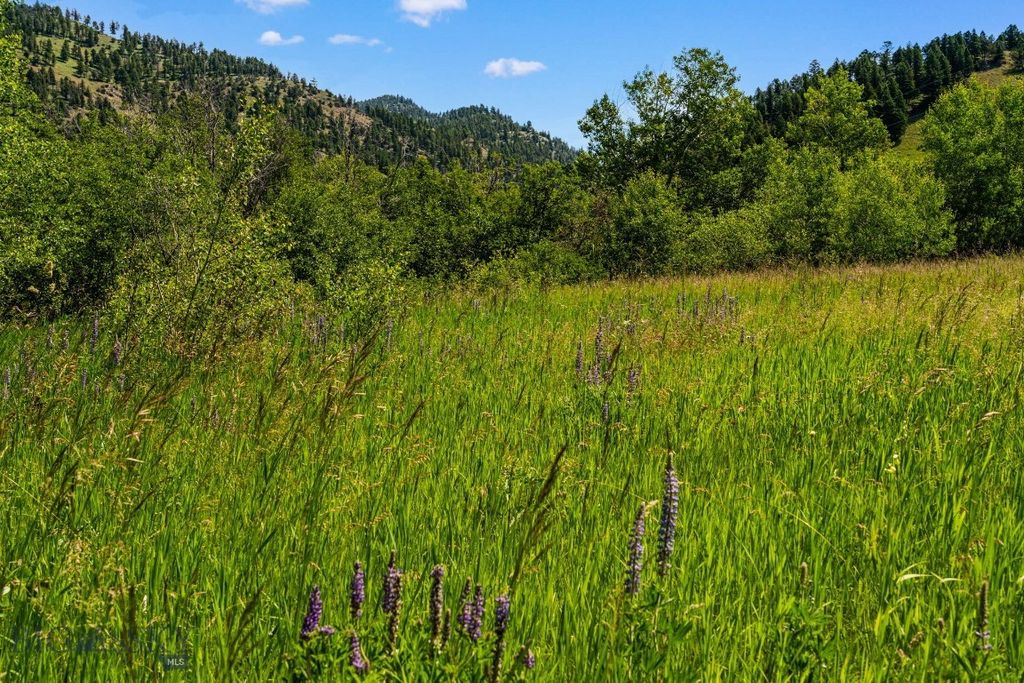 TBD Jackson Creek Road Parcel B, Bozeman, MT 59715 photo 35