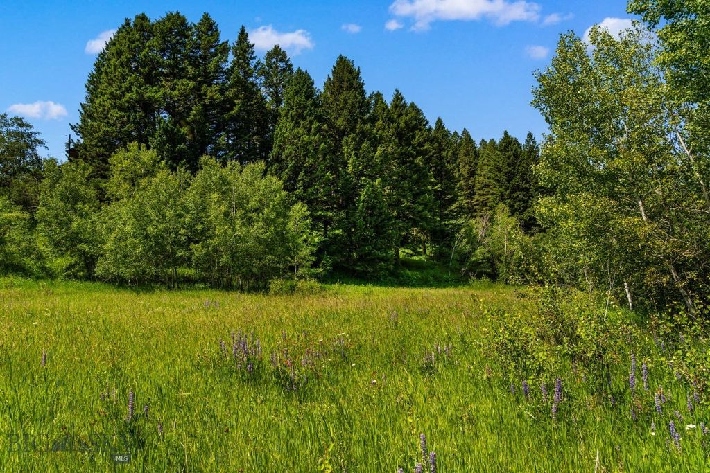 TBD Jackson Creek Road Parcel B, Bozeman, MT 59715 photo 36