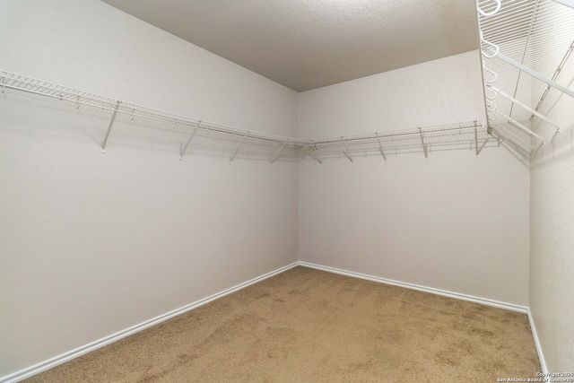 4614 Stallion Cove, San Antonio, TX 78244