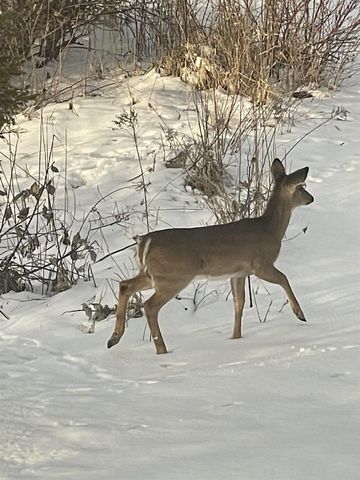 2638 Sweet Sparrow Place, Sun Prairie, WI 53590