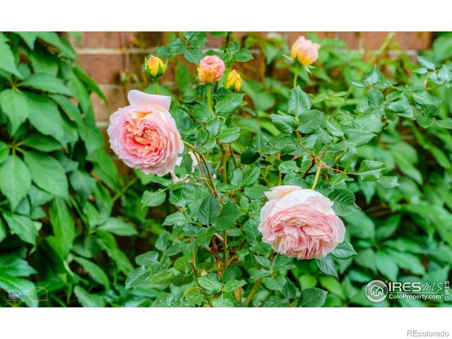 604 Mapleton Avenue, Boulder, CO 80304