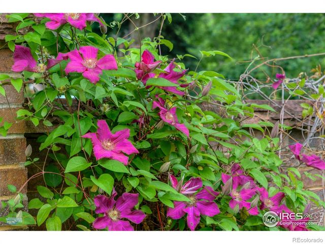 604 Mapleton Avenue, Boulder, CO 80304