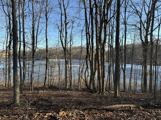 6211 Lakewood Pointe Drive, Coloma, MI 49038