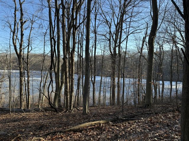 6211 Lakewood Pointe Drive, Coloma, MI 49038