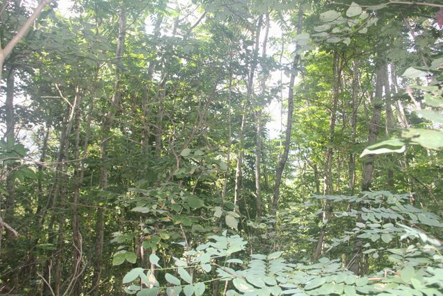 4103 Porch Rock Road, Pikeville, TN 37367