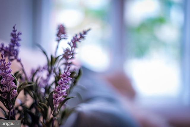 1429 E FEDERAL ST, Baltimore, MD 21213