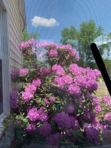 218 Madison Avenue, Hornell, NY 14843