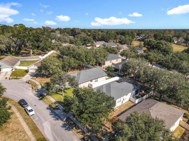 25227 CHIPSHOT COURT, Sorrento, FL 32776
