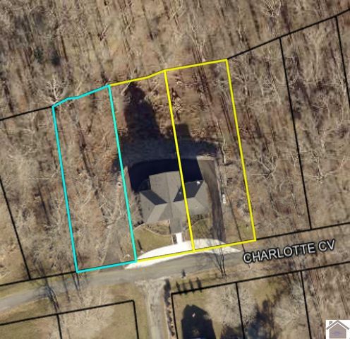 62 Charlotte 85 86 87, Cadiz, KY 42211