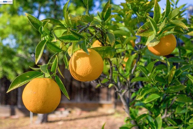 2690 2690 Watson St, Castro Valley, CA 94546