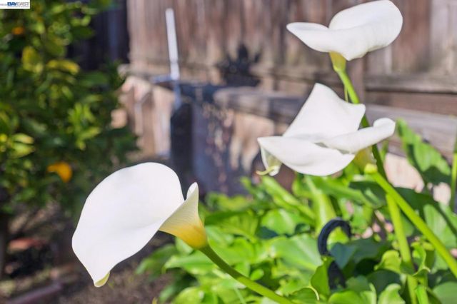 2690 2690 Watson St, Castro Valley, CA 94546