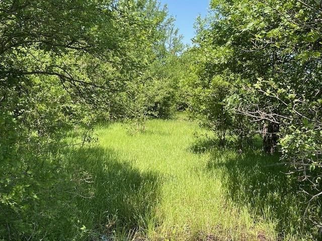 TBD SW County Road 0021, Corsicana, TX 75110