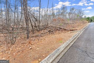 0 Yates Circle #461, Clarkesville, GA 30523