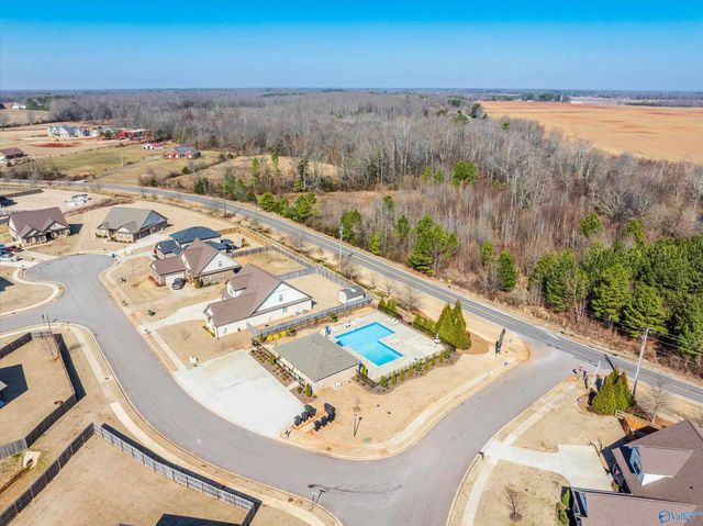145 Morning Dew Road, Toney, AL 35773