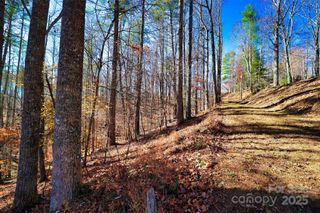 TBD Rockinghorse Trail Tract #1, Burnsville, NC 28714