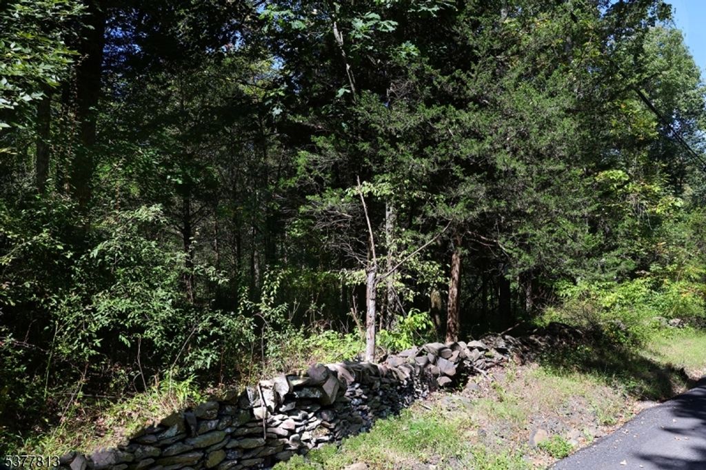 81 Upper Creek Rd, Delaware Twp., NJ 08559