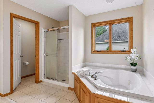 10173 Bridgewater Court, Woodbury, MN 55129