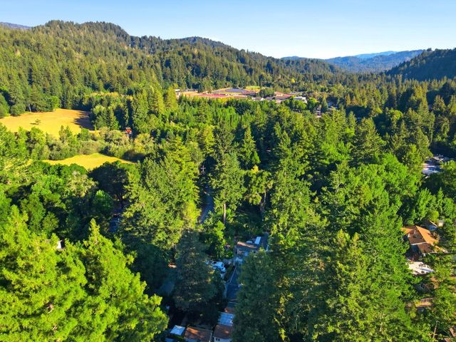 339 Fall Creek Drive, Felton, CA 95018