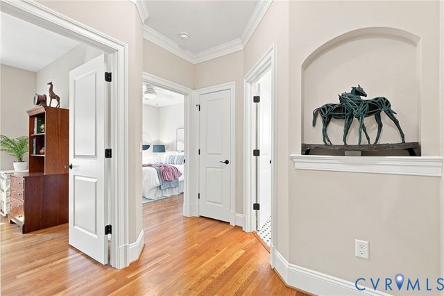 33229 Mt Gideon Rd, Hanover, VA 23069