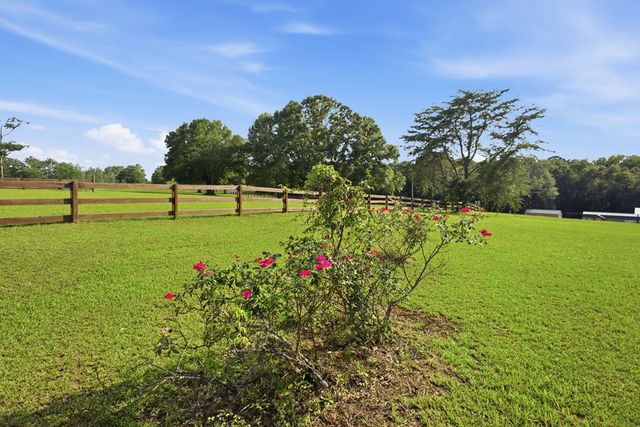 344 Hidden Springs Drive, Midland City, AL 36350