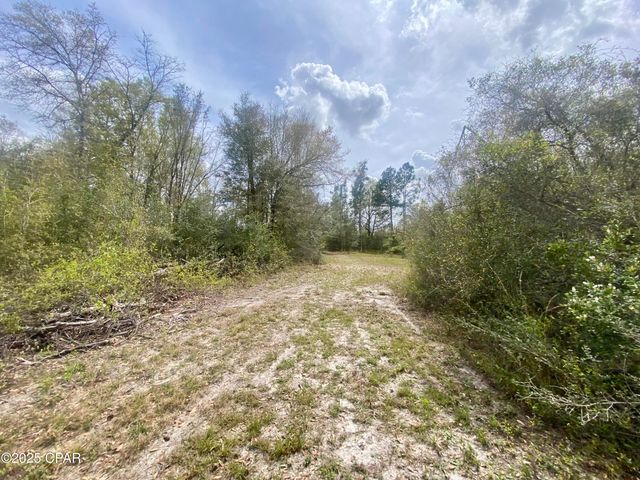 287 Mayflower Drive, Marianna, FL 32448